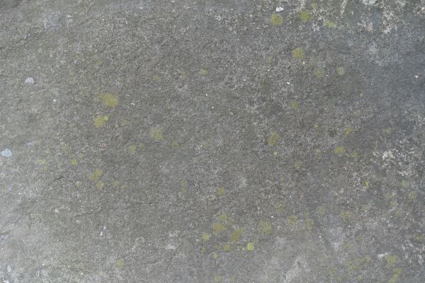 Cost of Slab Staining Service in Lansdale